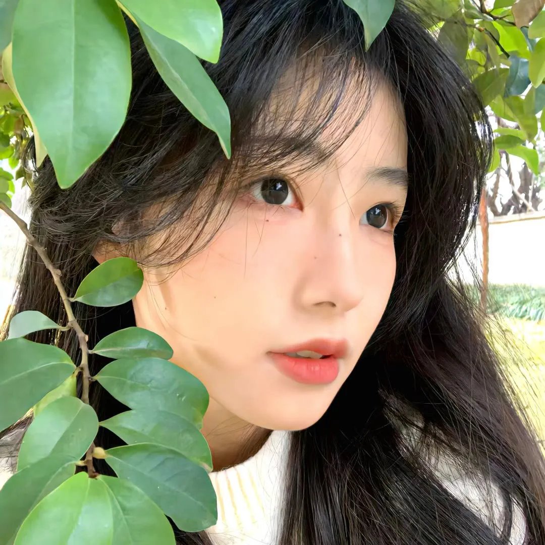 鬣狗式生存