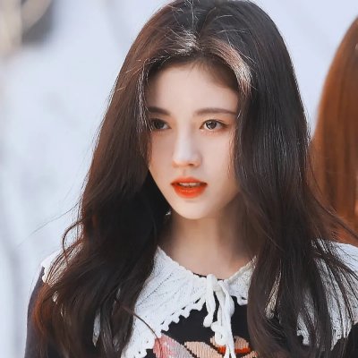 老师与流浪猫